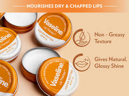 Vaseline Lip therapy cocoa Butter 20g